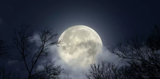 Prepárate para la superluna del cazador; la luna más brillante de octubre