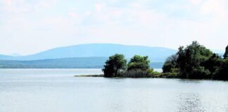 Presas de Hidalgo alcanzan almacenamiento casi total, reporta Conagua