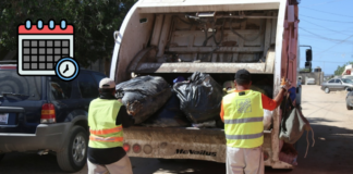 ¿Qué días pasará el camión de la basura en tu colonia? Checa el calendario de recolección en Pachuca