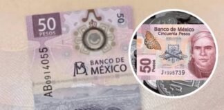 Banxico retira billetes de 50 y mil 1000 pesos