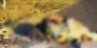 Abandonan cuerpos mutilados en Maxipista Culiacán-Mazatlán