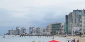 Último puente de 2024 generará derrama de más de 42 mmdp