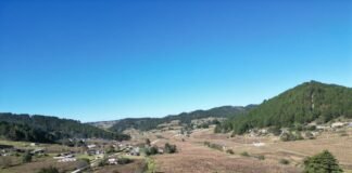 Candidato del PT en Cuautepec, aboga a favor de fauna y flora