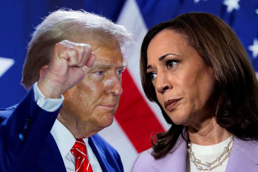 Elecciones Estados Unidos 2024 Cuando Son Debera Maddalena