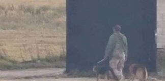 Sujeto ataca con un machete a perrito callejero en Zempoala