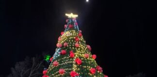 Tulancingo enciende la magia que ilumina la navidad