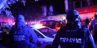 En operativos simultáneos confiscan drogas y armas