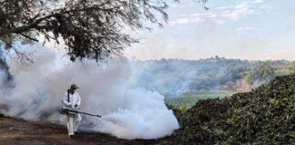 Combaten emergencia ambiental en presa Endhó por mosco culex y lírios