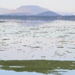 Estrategia integral para sanear rio Tula y la presa Endhó