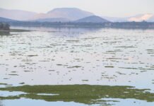 Estrategia integral para sanear rio Tula y la presa Endhó