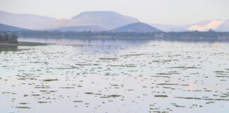 Avanzan en la recuperación de la Presa Endhó