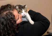 Por primera vez Chihuahua otorga condena por maltrato animal