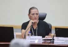 Senado analizará permanencia de Guadalupe Taddei al frente del INE