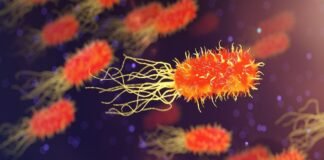 Reportan muertes infantiles por brote de bacteria en Edomex