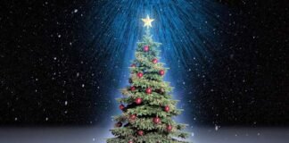 ¡Es Hoy! No te pierdas el encendido del Árbol Navideño en Pachuca