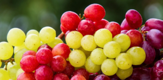 Profeco informa dónde venden las uvas más baratas para celebrar el fin de año