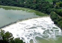 Semarnath intensifican acciones de limpieza en Presa Endhó