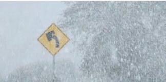 Cierres carreteros por segunda tormenta invernal en el norte de México