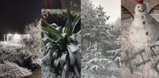 ¡Hidalgo se cubre de nieve! Así se vivió la sorprendente nevada en estos municipios