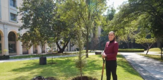 Claudia Sheinbaum: “En 2025 nos irá muy bien porque hay unidad con el pueblo de México