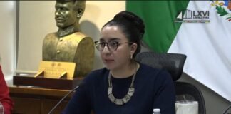 Diputada busca integración de la Policía Violeta al Marco legal en Hidalgo