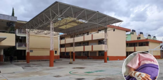 Fiscalía señala que Fátima no fue arrojada desde el tercer piso: «Su salud es favorable»