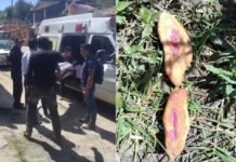 Tres niñas mueren al comer pan envenenado «para perritos» en Chiapas