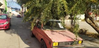 Pachuca retira 17 vehículos abandonados por semana con el Operativo Rastrillo