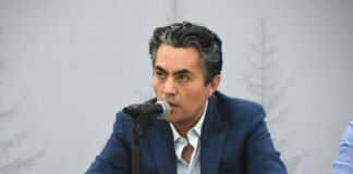 Se mueren bosques de Hidalgo, alertan