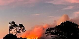 Emergencia por incendio en Los Mármoles en Zimapán y Nicolás Flores