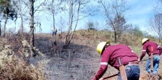 Semarth reporta estado de incendios forestales en distintas regiones