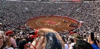 El futuro de la tauromaquia en México cambia con una reforma clave