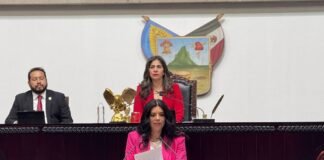 Urge diputada Perales reforzar seguridad cibernética en Hidalgo