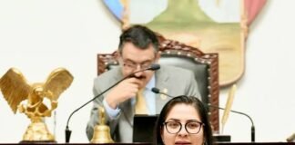 Diputada Alhely Medina solicitó licencia temporal por 30 días