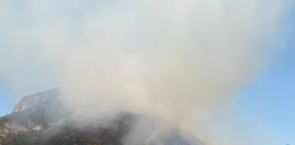 Controlan incendio en cerro de Napateco; afecta más de 65 hectáreas