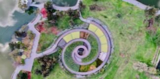 CDMX se une al Reto Naturalista Urbano 2025