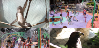 Bioparque de Convivencia Pachuca, naturaleza y diversión para la familia