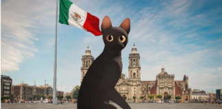 Director de ‘FLOW’ visitará la CDMX para la proyección gratuita de la película en el Zócalo