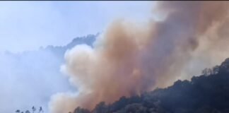 Grave incendio forestal en Tlahuiltepa moviliza a autoridades