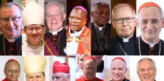 ¿Quién será el próximo Papa? Entre 10 nombres el posible sucesor