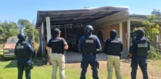 Aseguran sembradío de marihuana en Agua Blanca Hidalgo