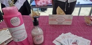 Estudiantes UAEH presentan 26 ideas con ciencia