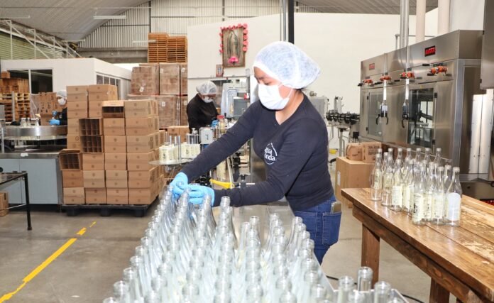 Boletín 205 Sedeco Creación empleos (3)