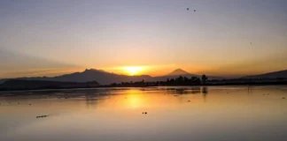 Festival de aniversario del Bosque de Tláhuac como Área Natural Protegida