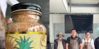 Zempoala será sede del 1er Festival del Asado y el Maguey