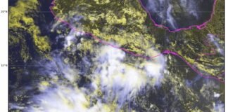 Vigilancia en el Pacífico por formación del ciclón “Dalila”