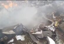 Se desploma avioneta que combatía al gusano barrenador