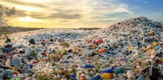 ICC México lanza llamado urgente frente a crisis ambiental en el país