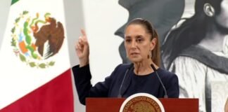 Sheinbaum lamenta el asesinato de la maestra Irma Hernández