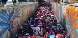 Vuelve CNTE con paro y marcha en CDMX